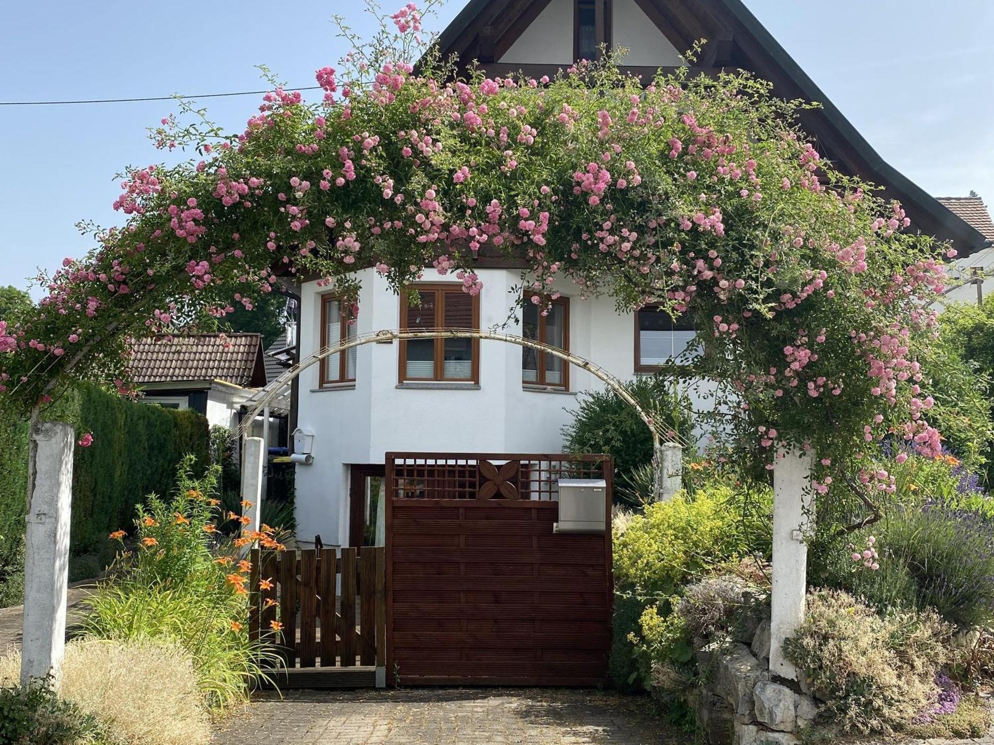 Dalea Apartment Bad Waldsee Exterior photo